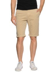 New Zealand Auckland Bermuda sand